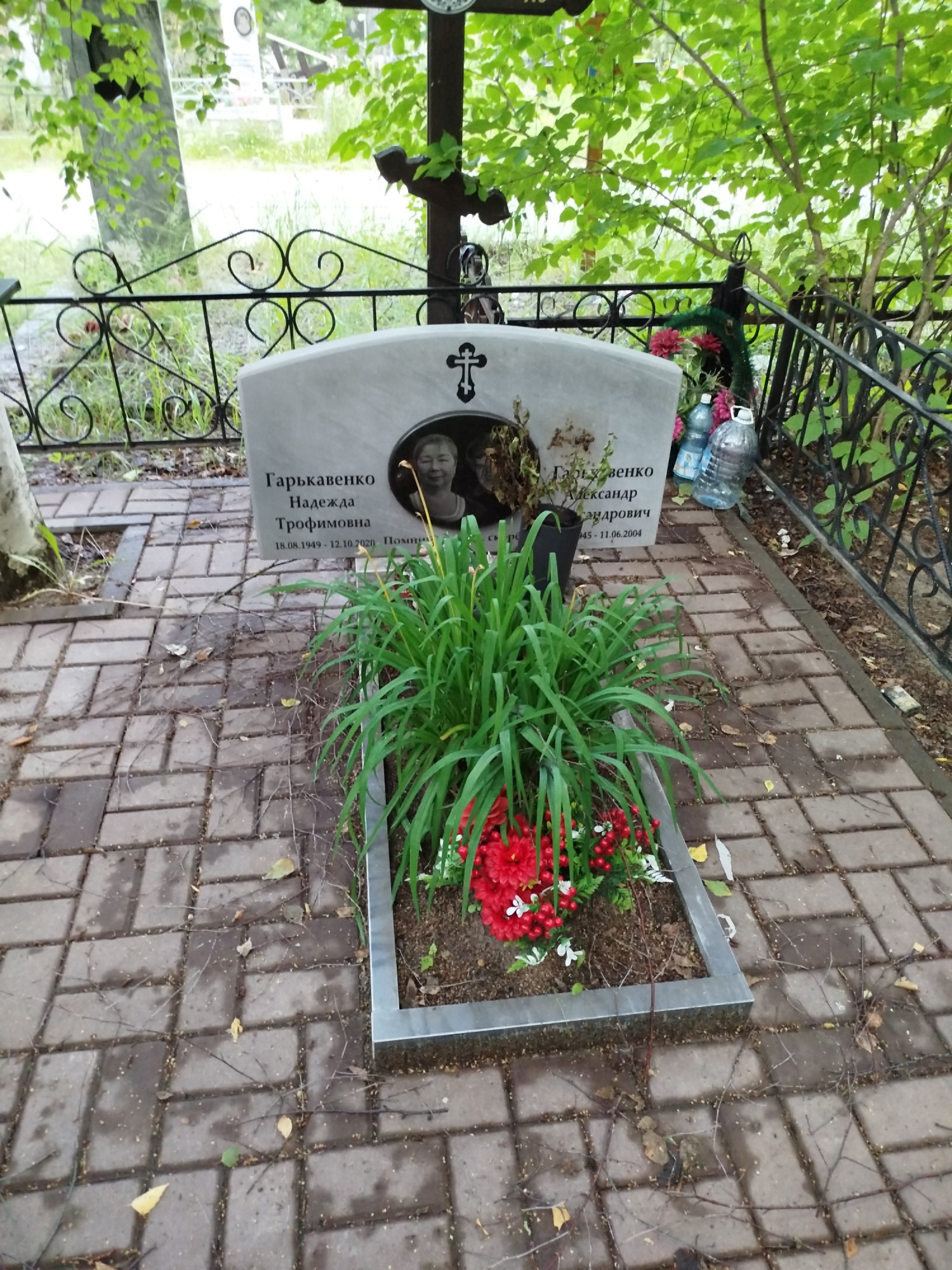 Гарькавенко Александр Александрович