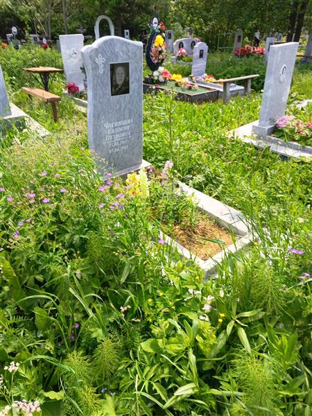 Чигинцева Евдокия Петровна