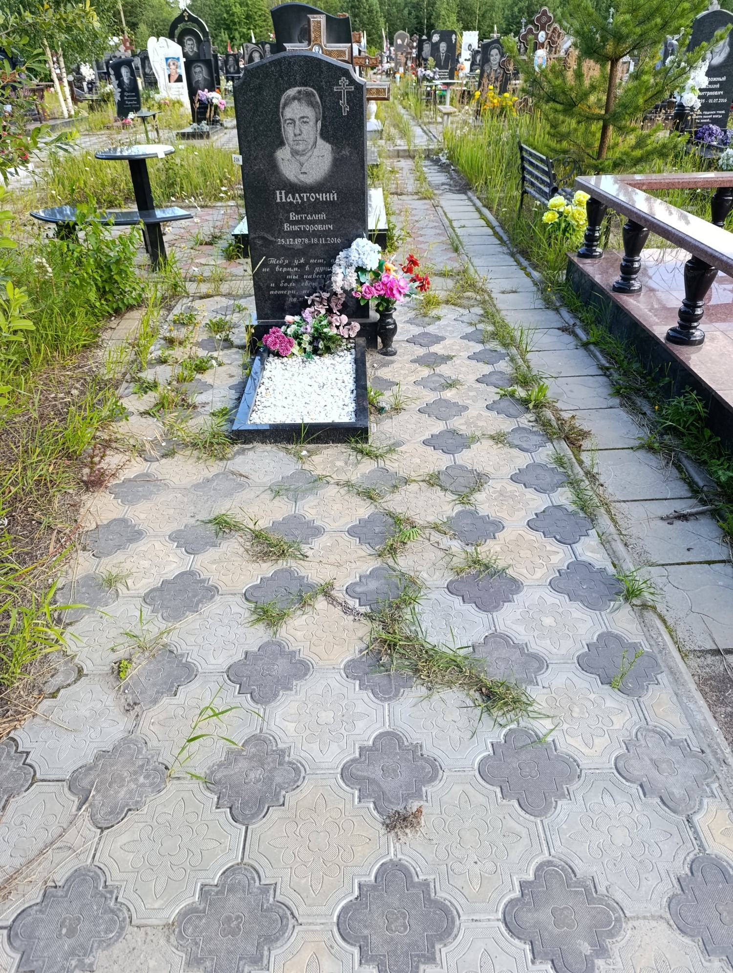 Надточий Виталий Викторович