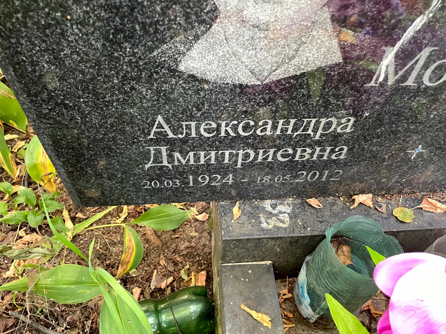 Молчанова Александра Дмитриевна