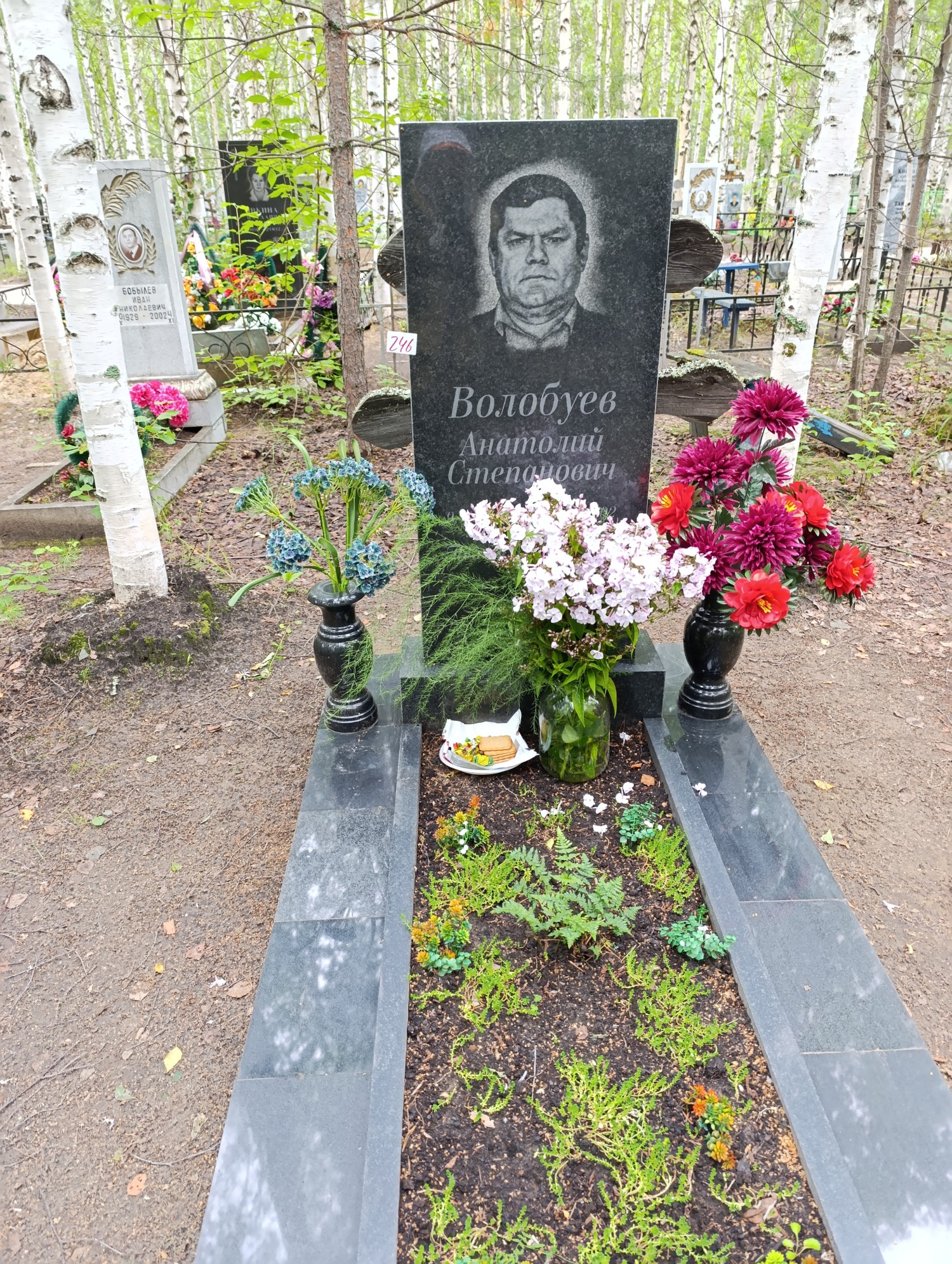 Волобуев Анатолий Степанович