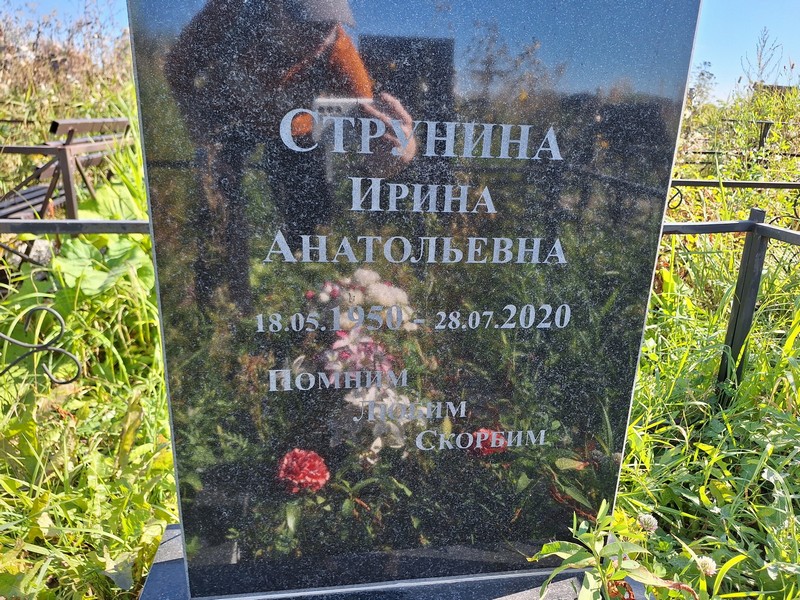 Струнина