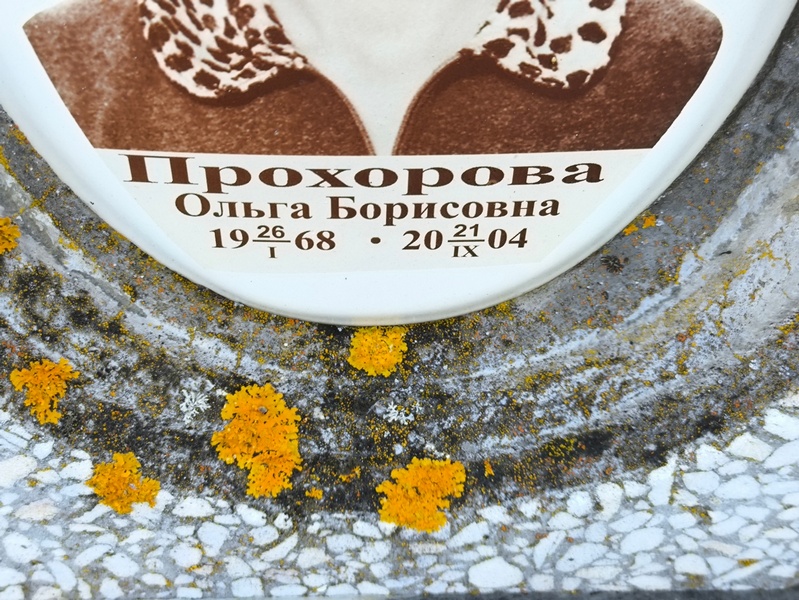 Прохорова