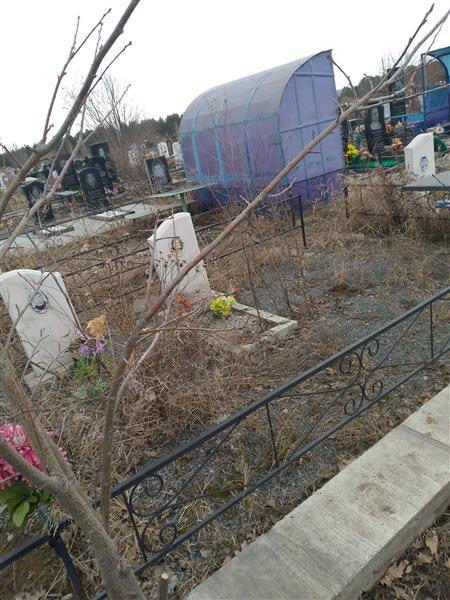 Кукарский Дмитрий Анатольевич