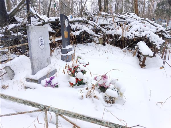 Стрельников Михаил Артемьевич