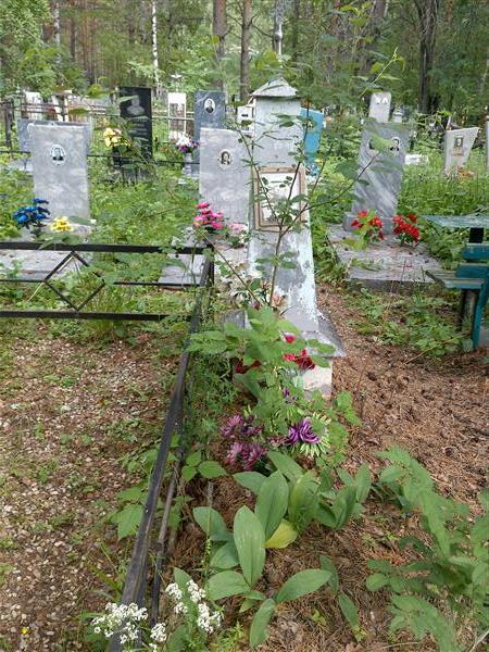 Осинцева М. Е.
