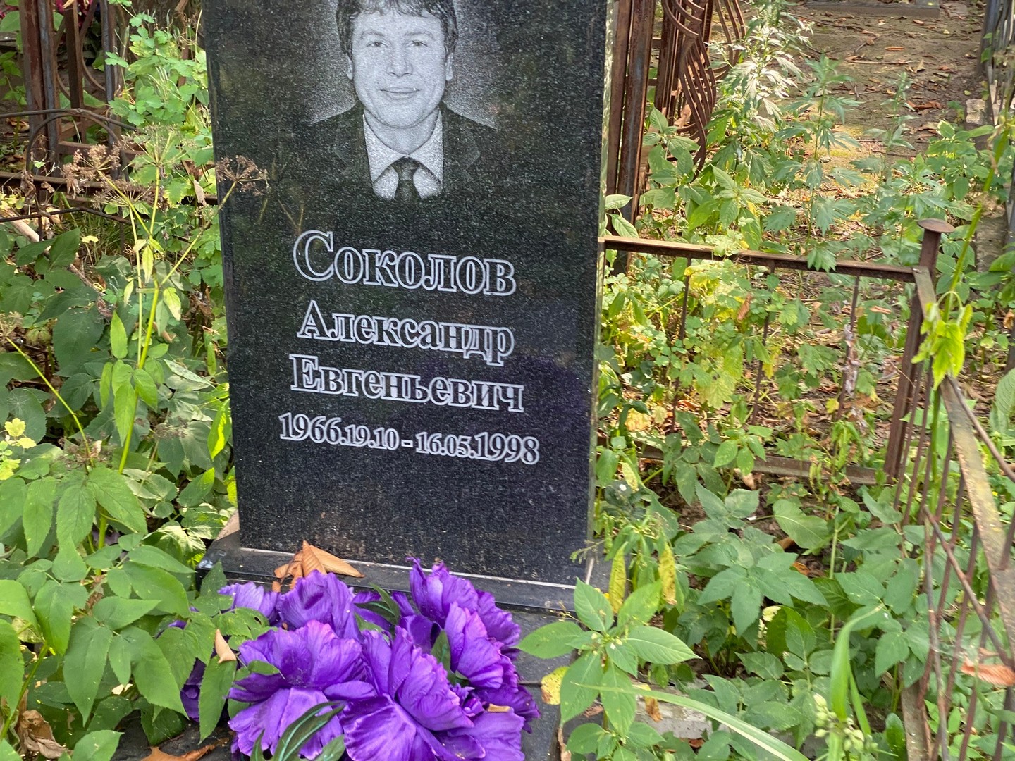 Соколов