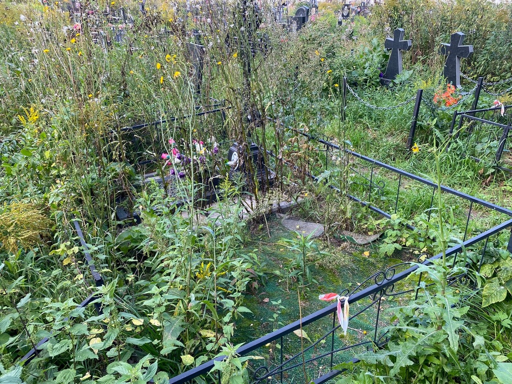 Золин Вениамин Андреевич
