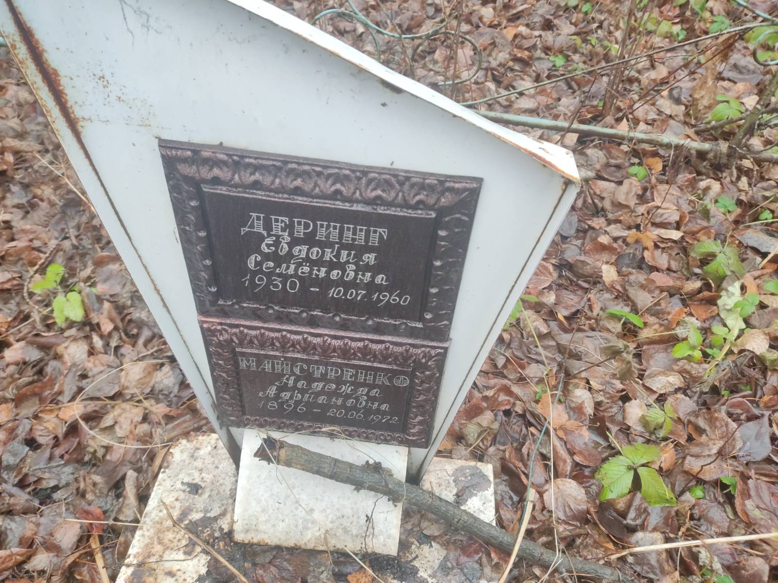 Майстренко Надежда Адриановна