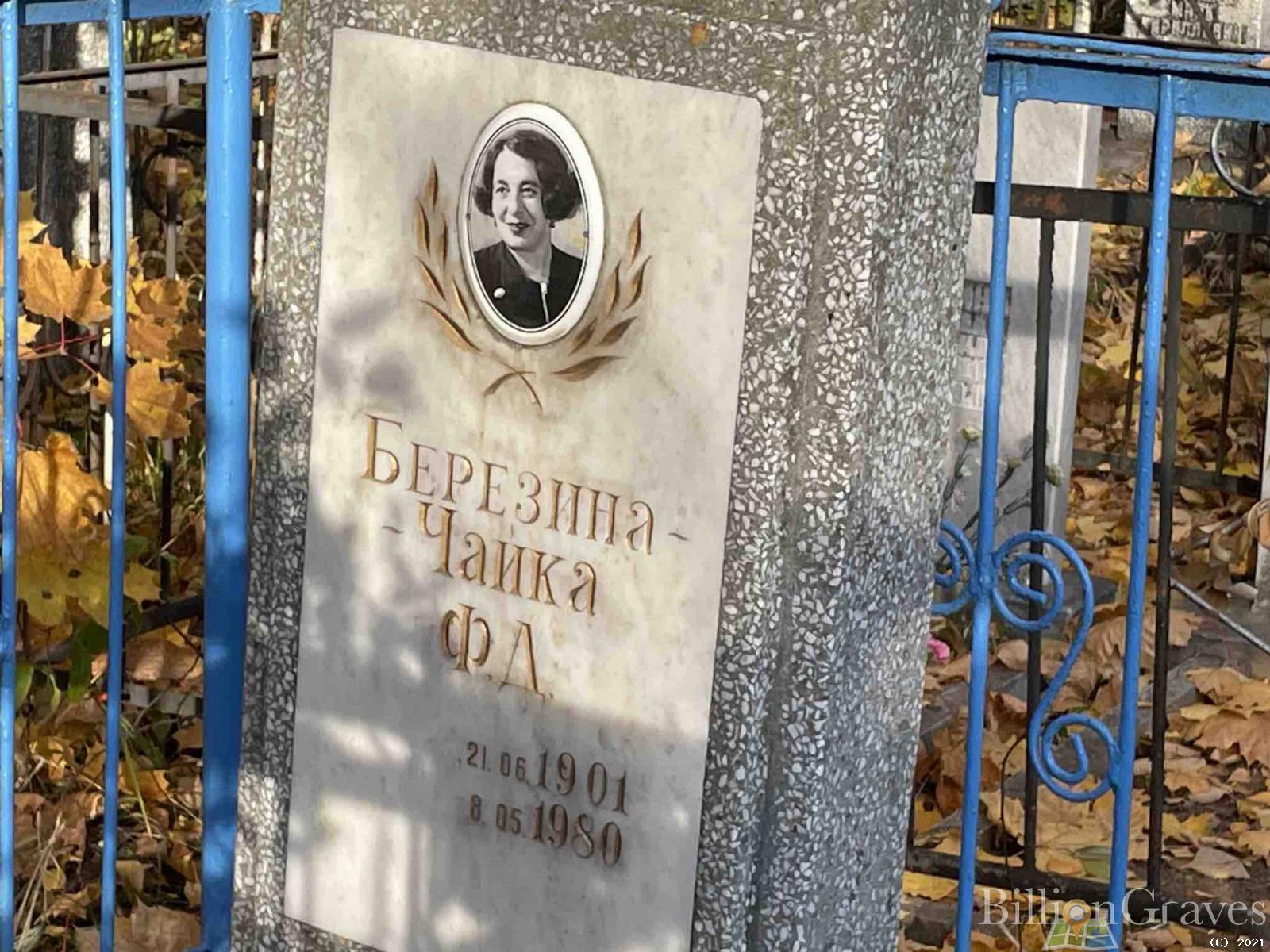 Березина-чайка Ф.д.