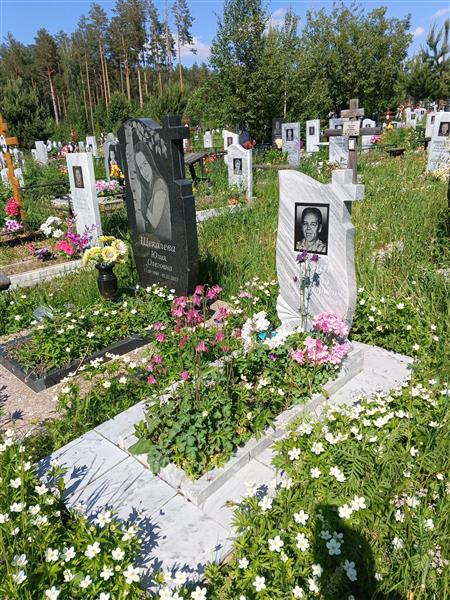 Лузин Василий Александрович