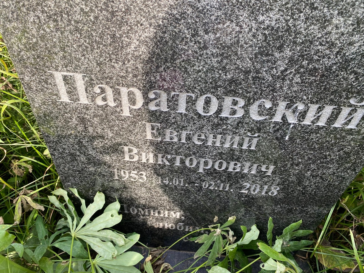 Паратовский