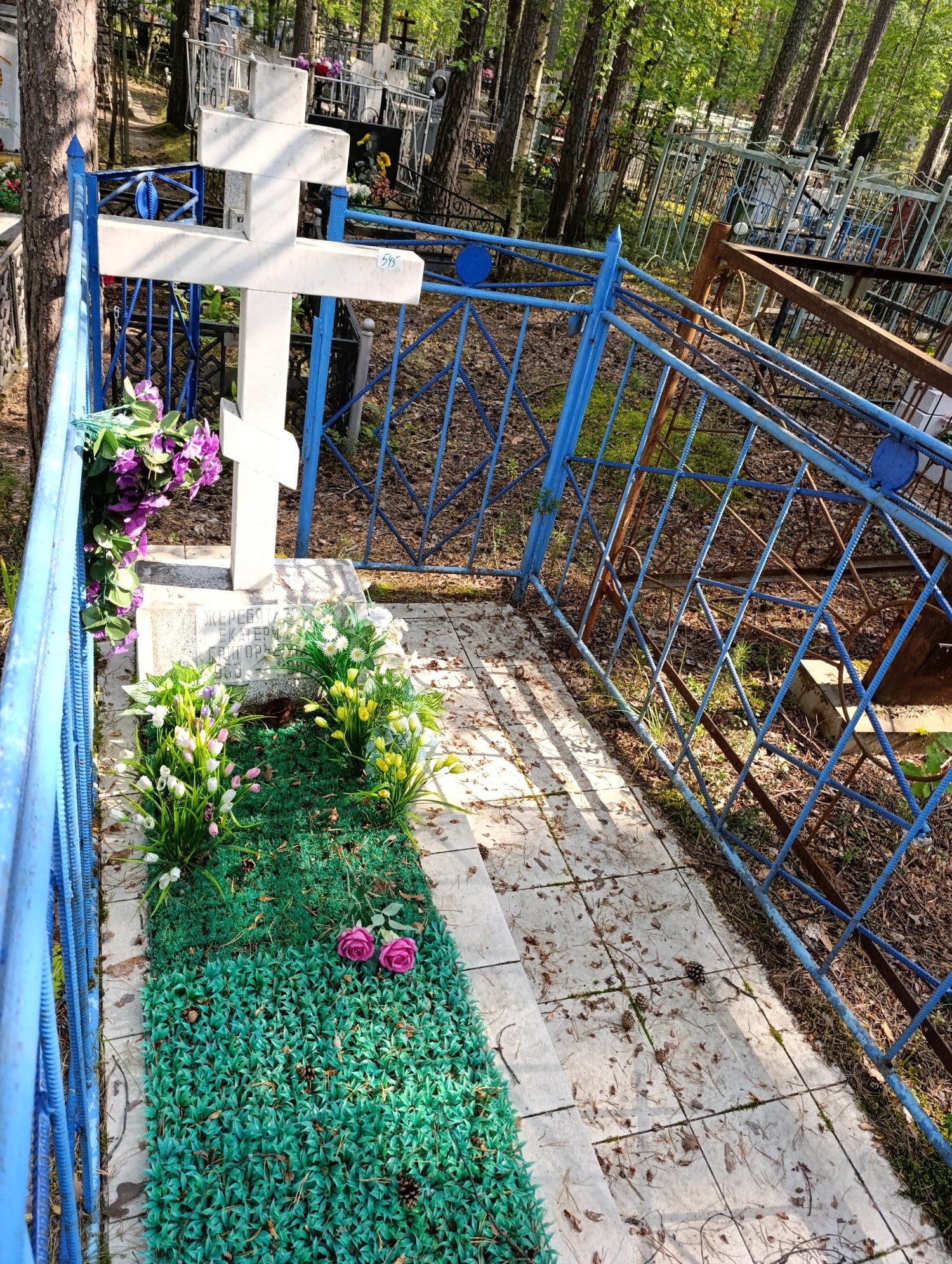 Жеребятьева Екатерина Григорьевна