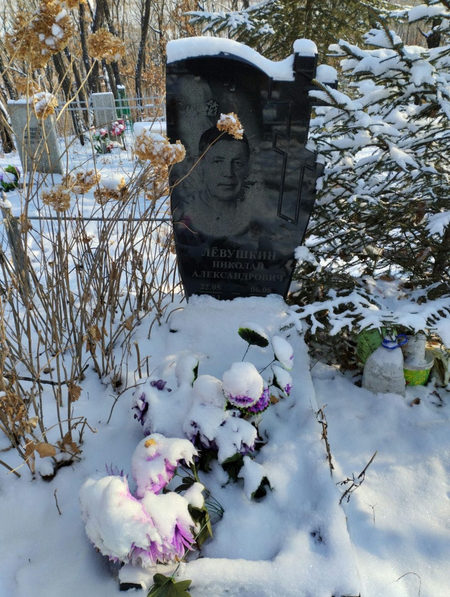 Левушкин Николай Александрович