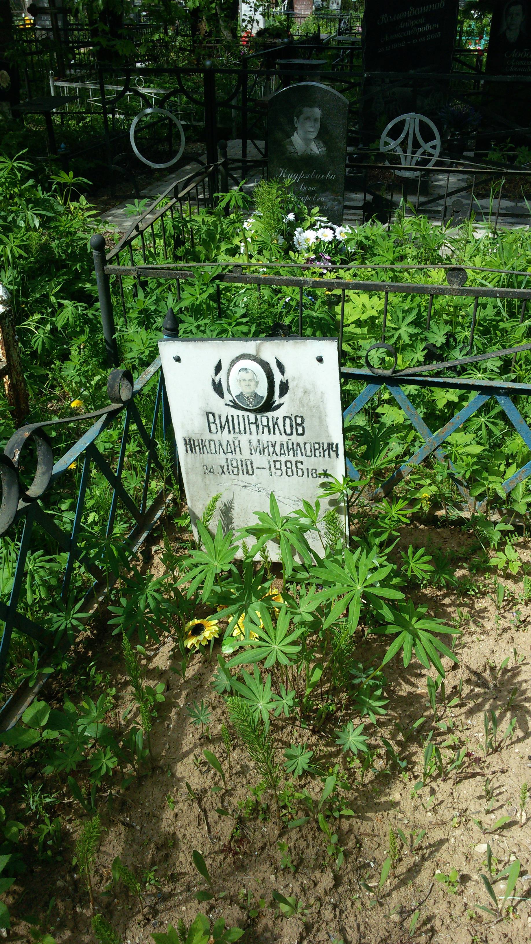 Вишняков Николай Михайлович