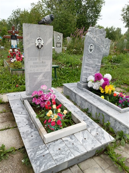 Синиченков Николай Радионович
