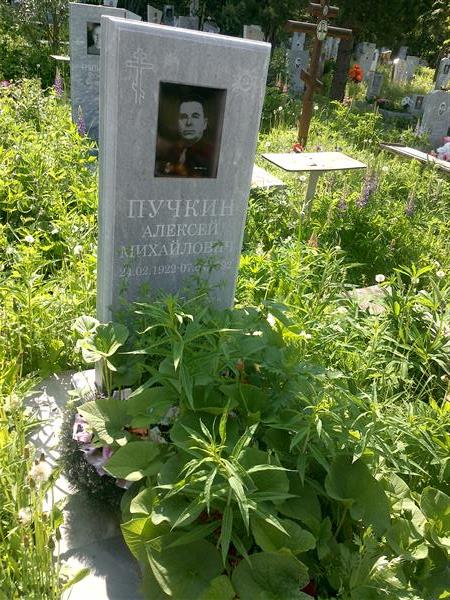 Пучкин Алексей Михайлович