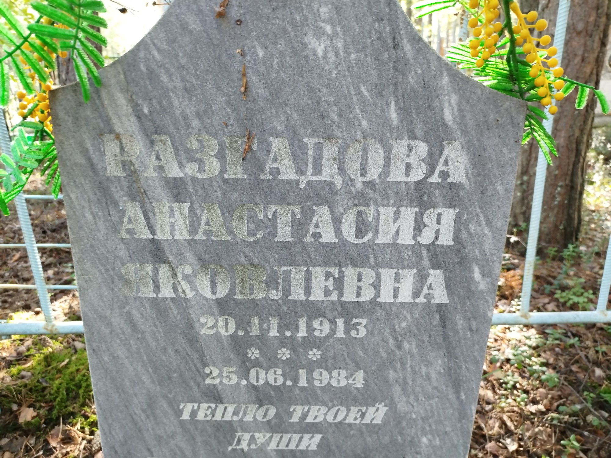 Разгадова Анастасия Яковлевна