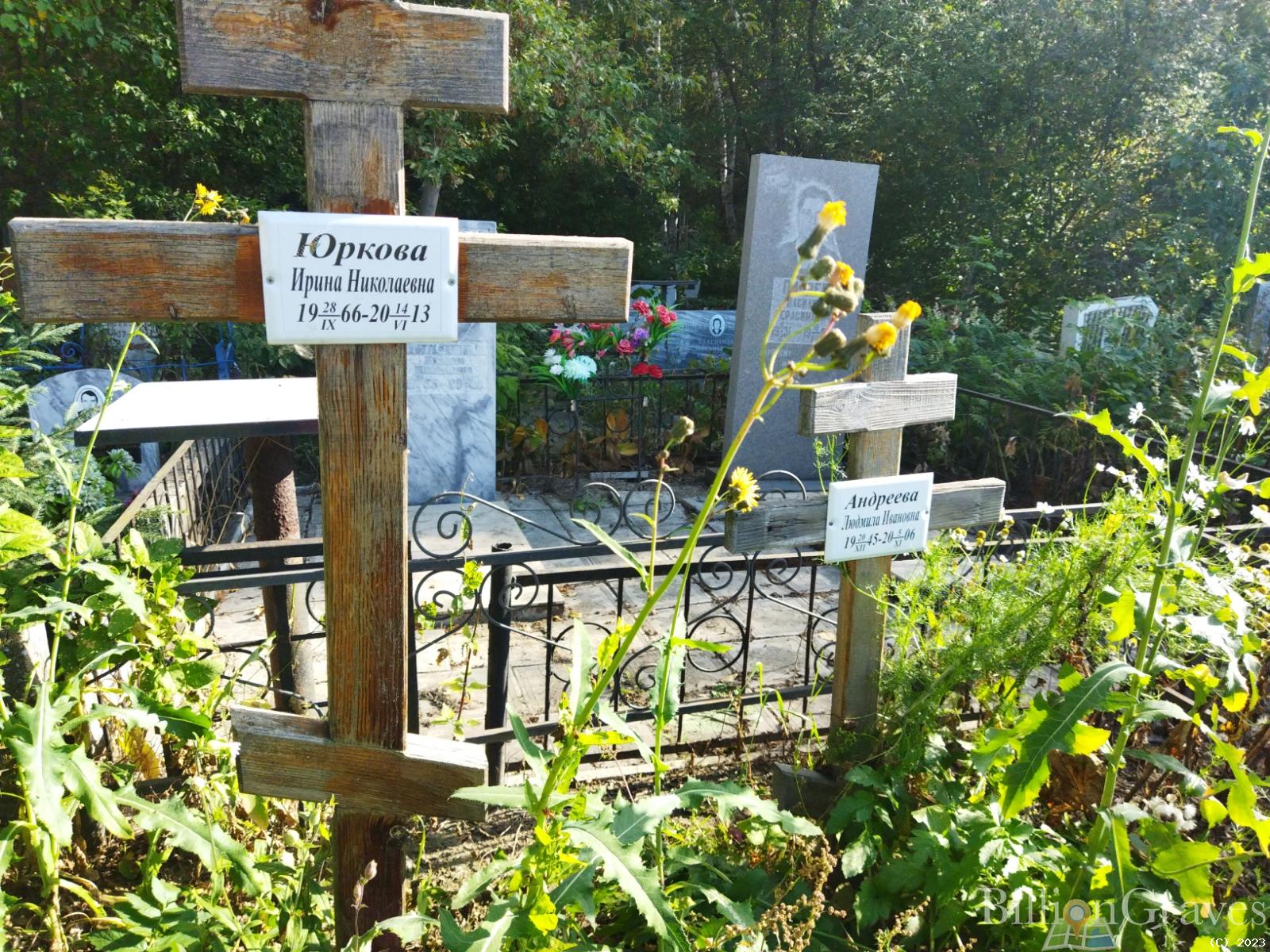 Юркова Ирина Николаевна