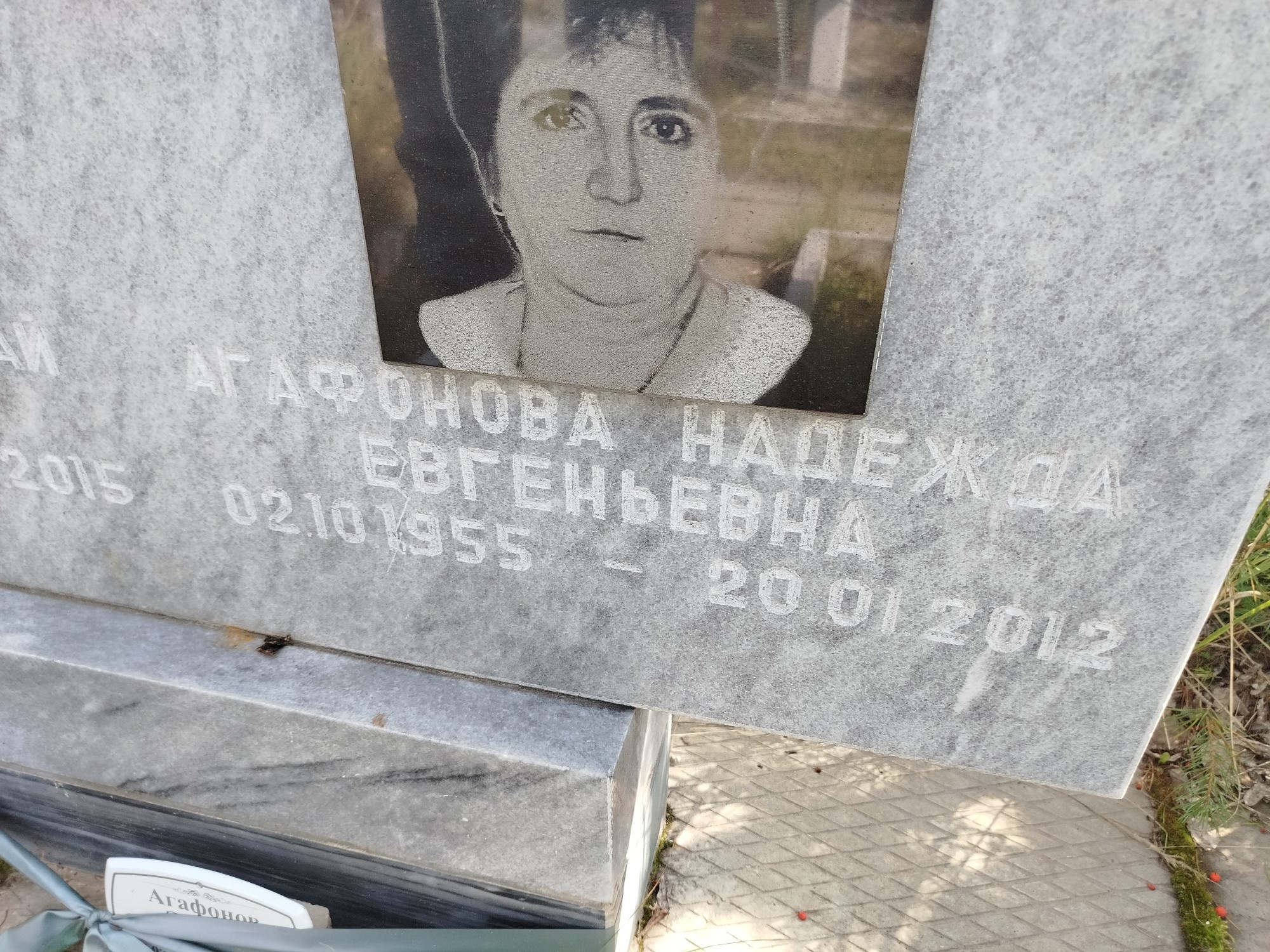 Агафонова Надежда Евгеньевна