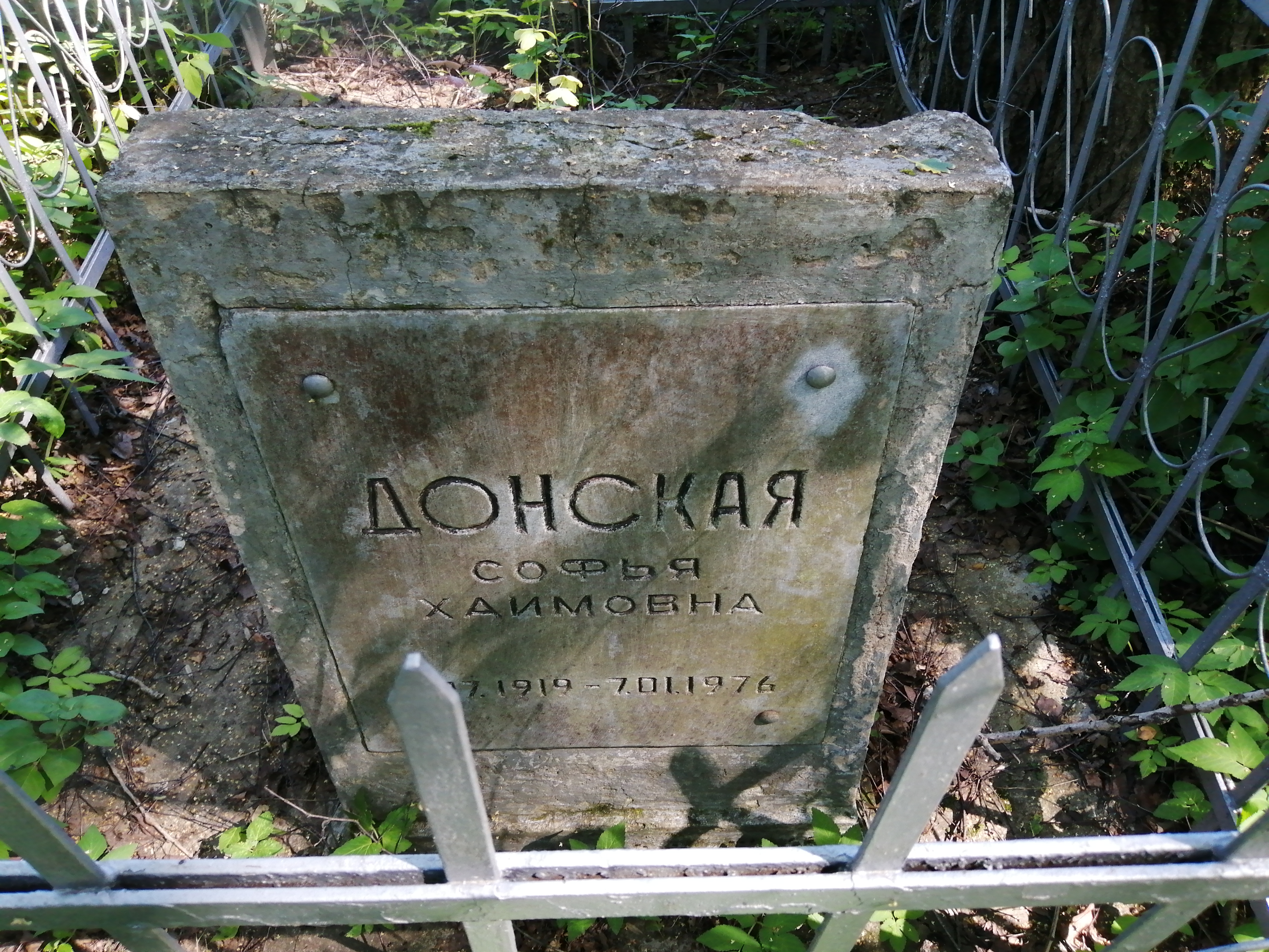 Донская Софья Хаимовна