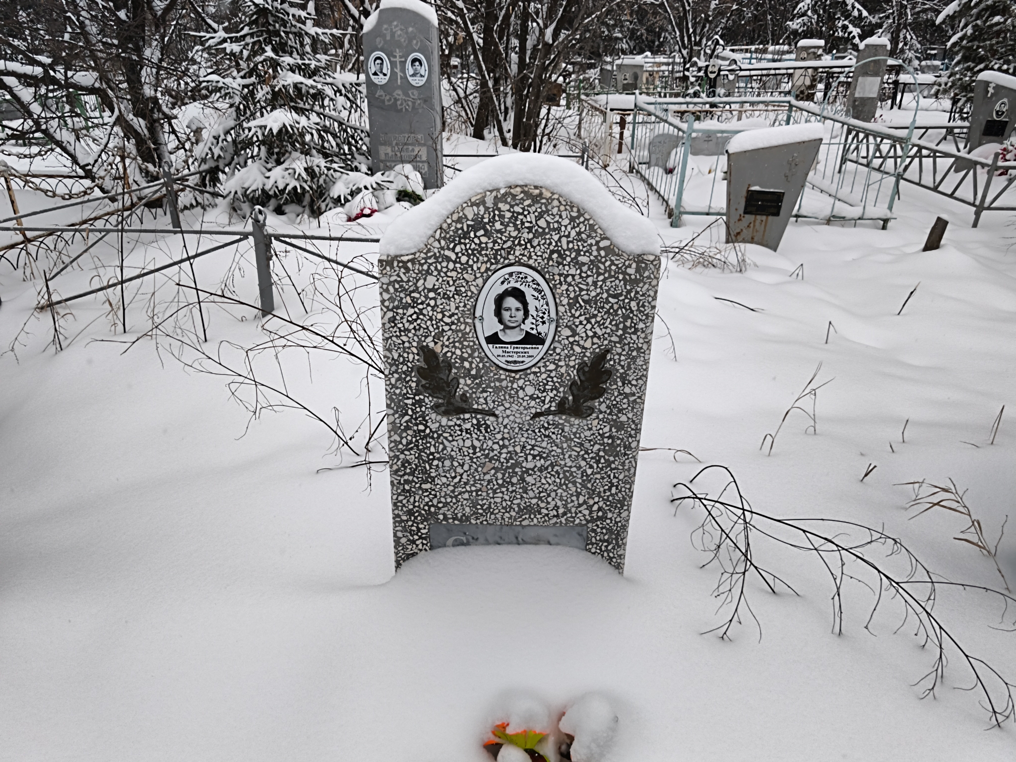 Мастерских Галина Григорьевна