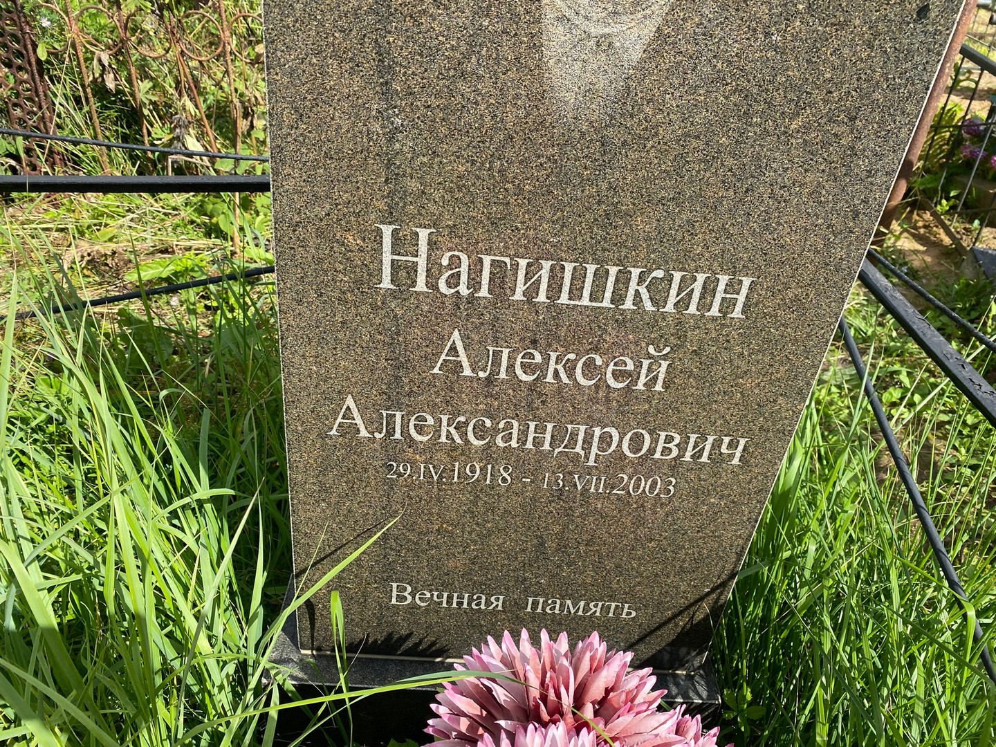 Нагишкин