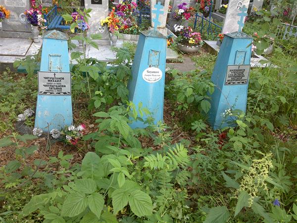 Чипуштанов Дмитрий Михайлович