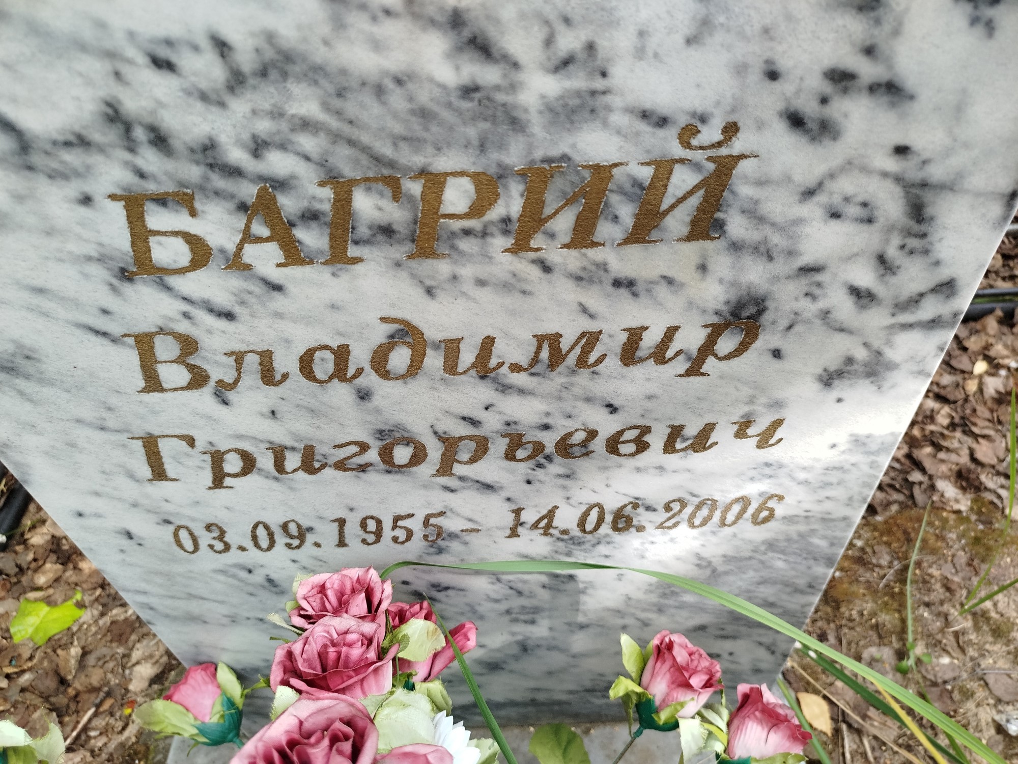 Багрий Владимир Григорьевич