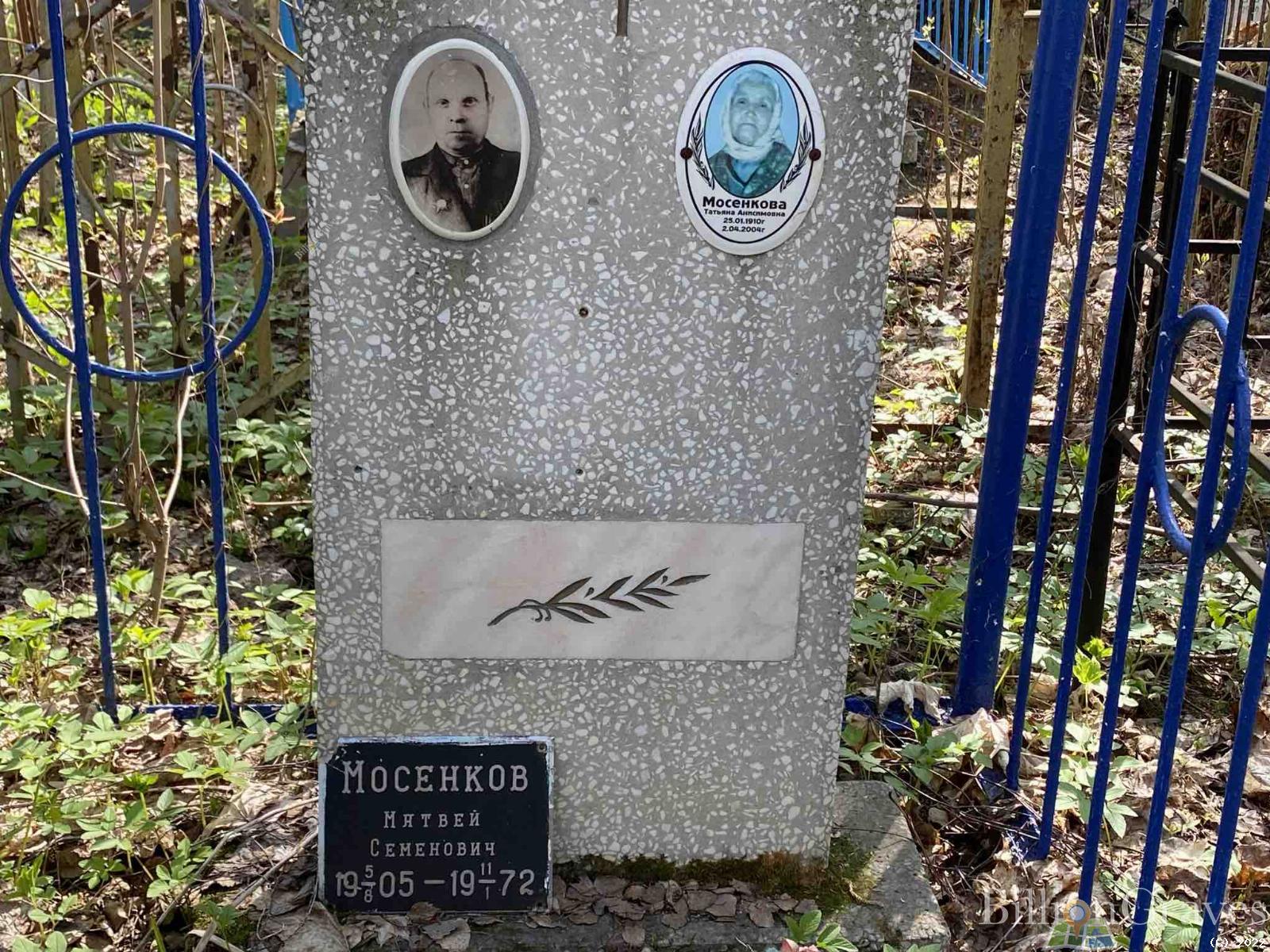Мосенков Матвей Семенович