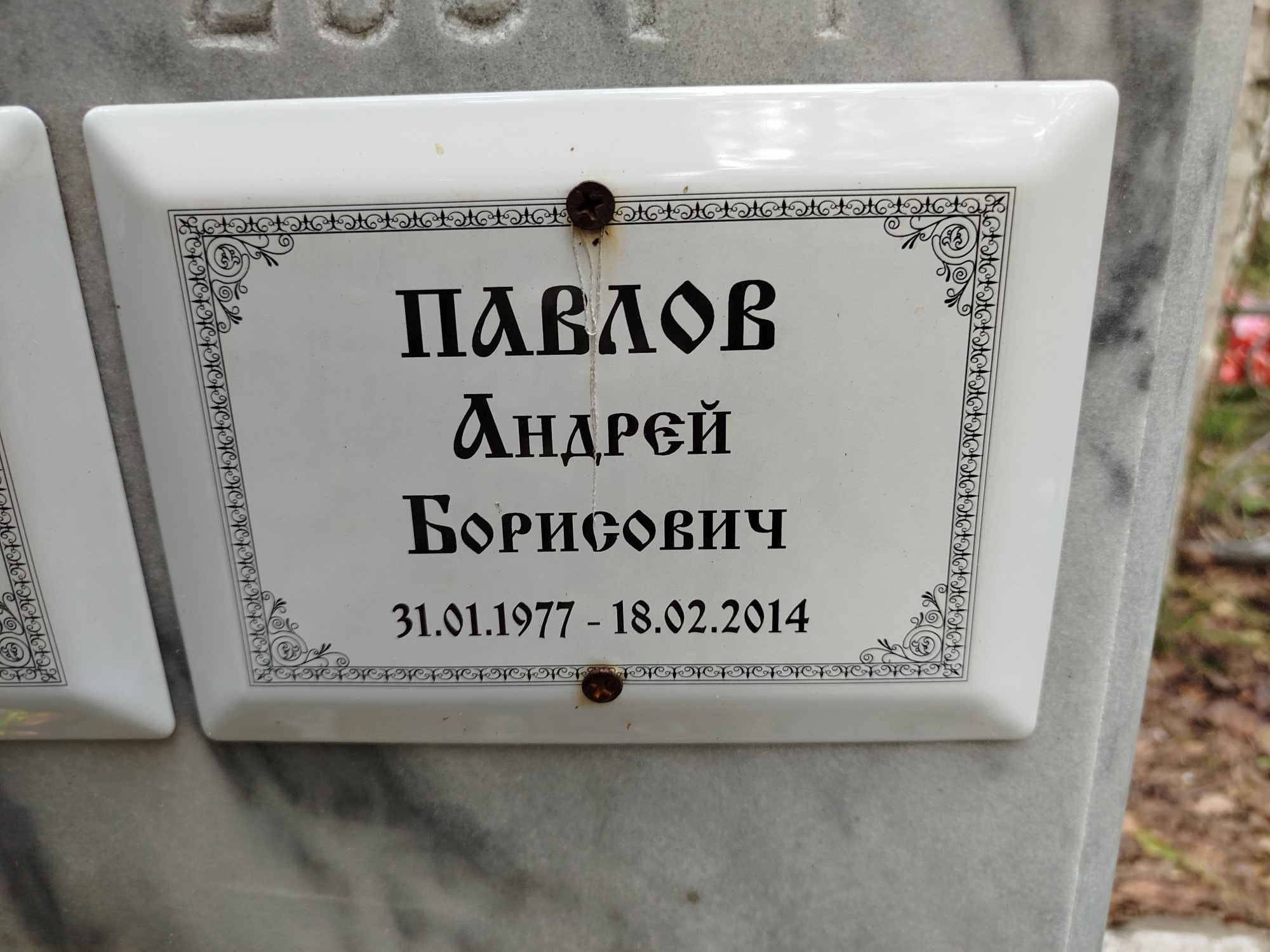 Павлов Андрей Борисович