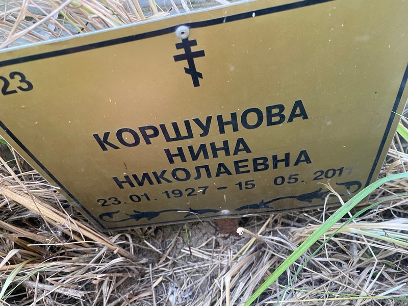 Коршунова