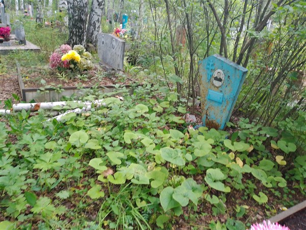 Иванова Анна Ивановна