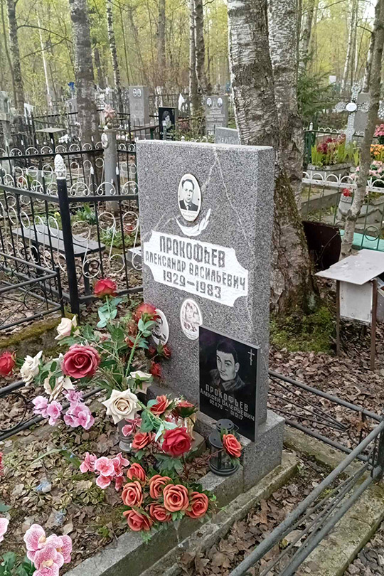 Прокофьев В. А.