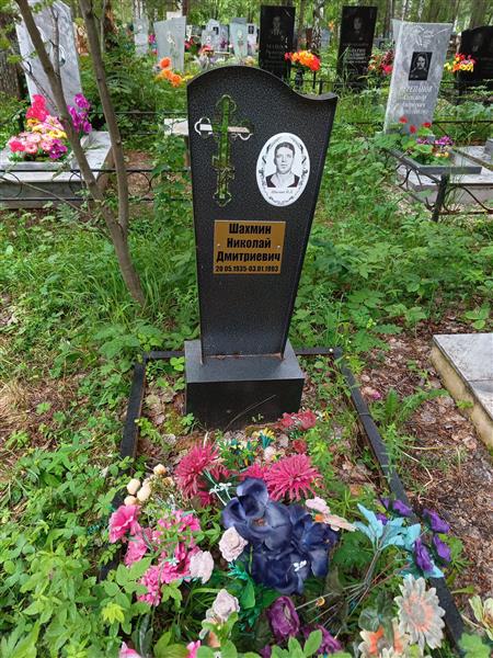 Шахмин Николай Дмитриевич