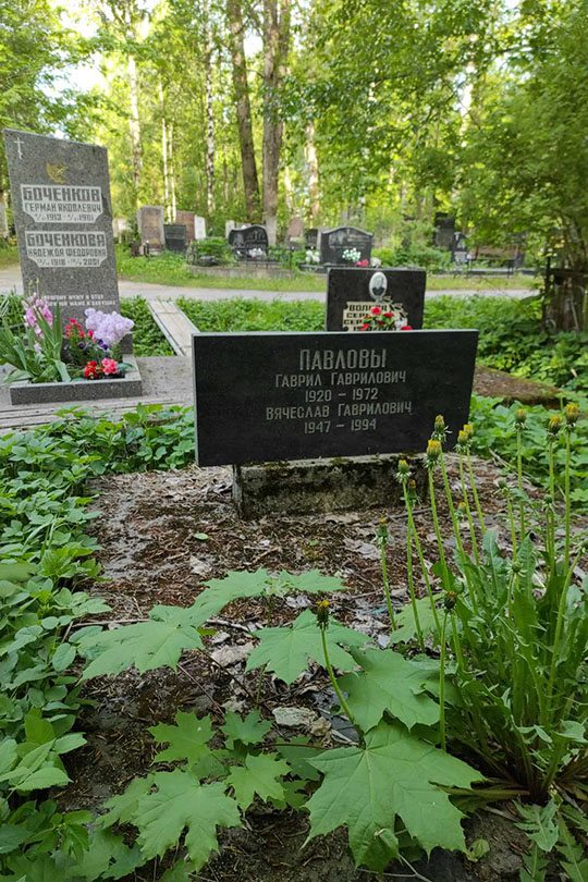 Павлов Гаврил Гаврилович
