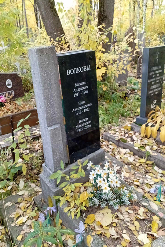Волков Виктор Михайлович