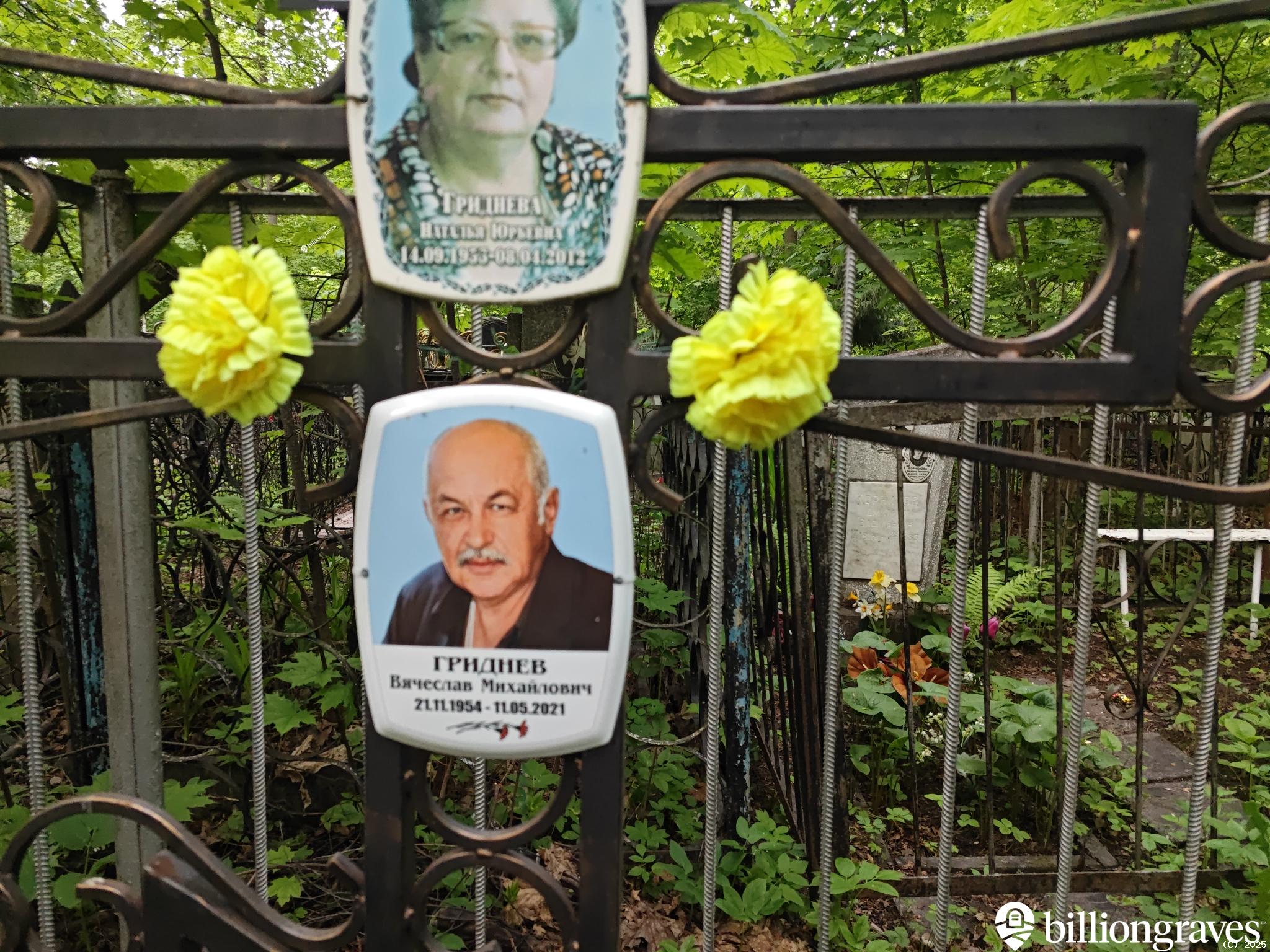 Гриднев Вячеслав Михайлович