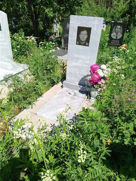 Лямшев Анатолий Иванович