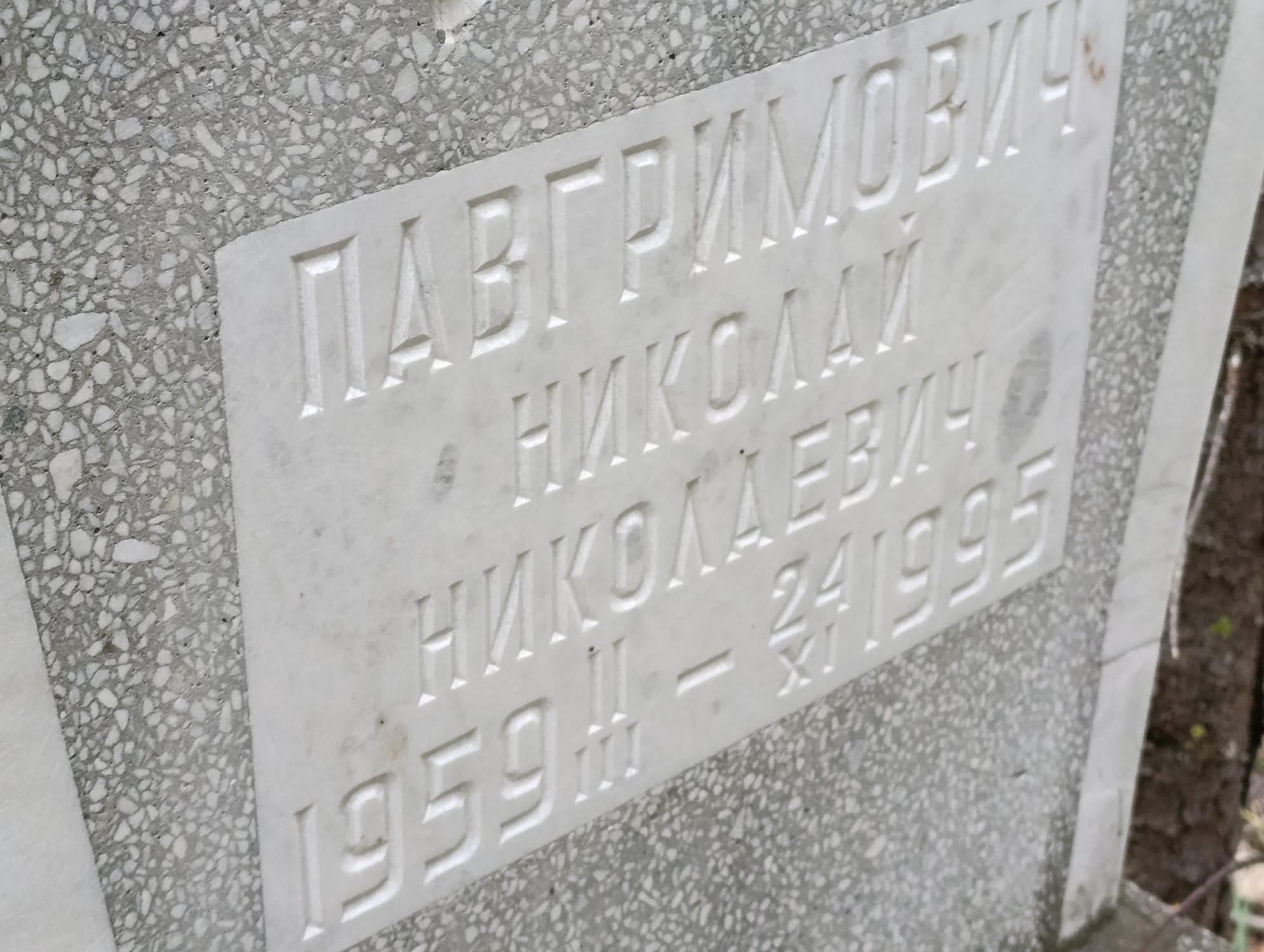 Павгримович Николай Николаевич