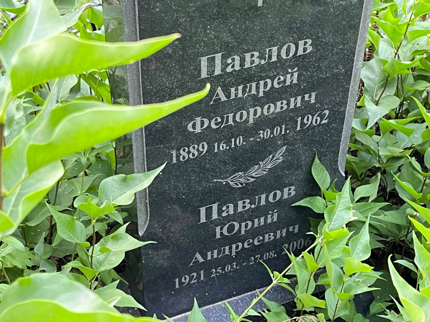 Павлов
