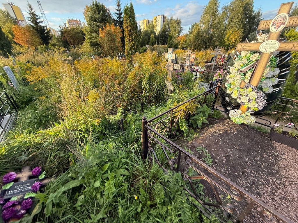 Киселева Ольга Николаевна