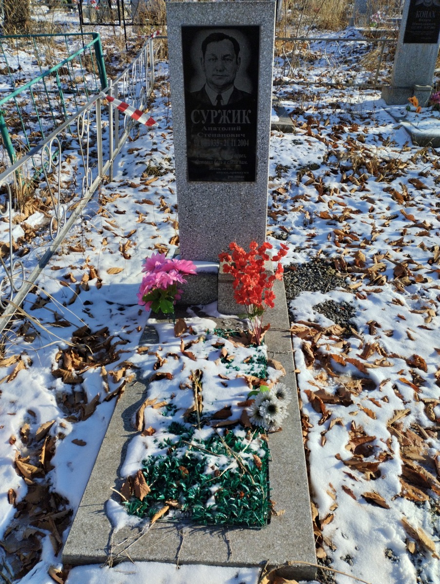 Суржик Анатолий Степанович