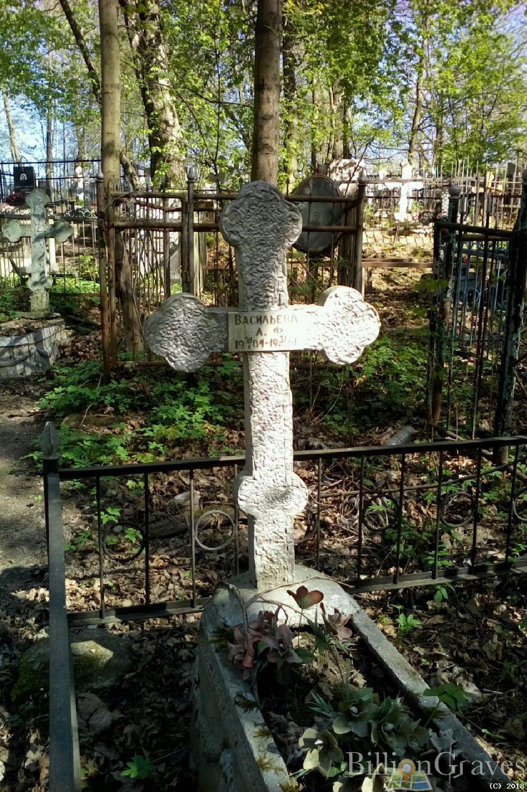 Васильева А.