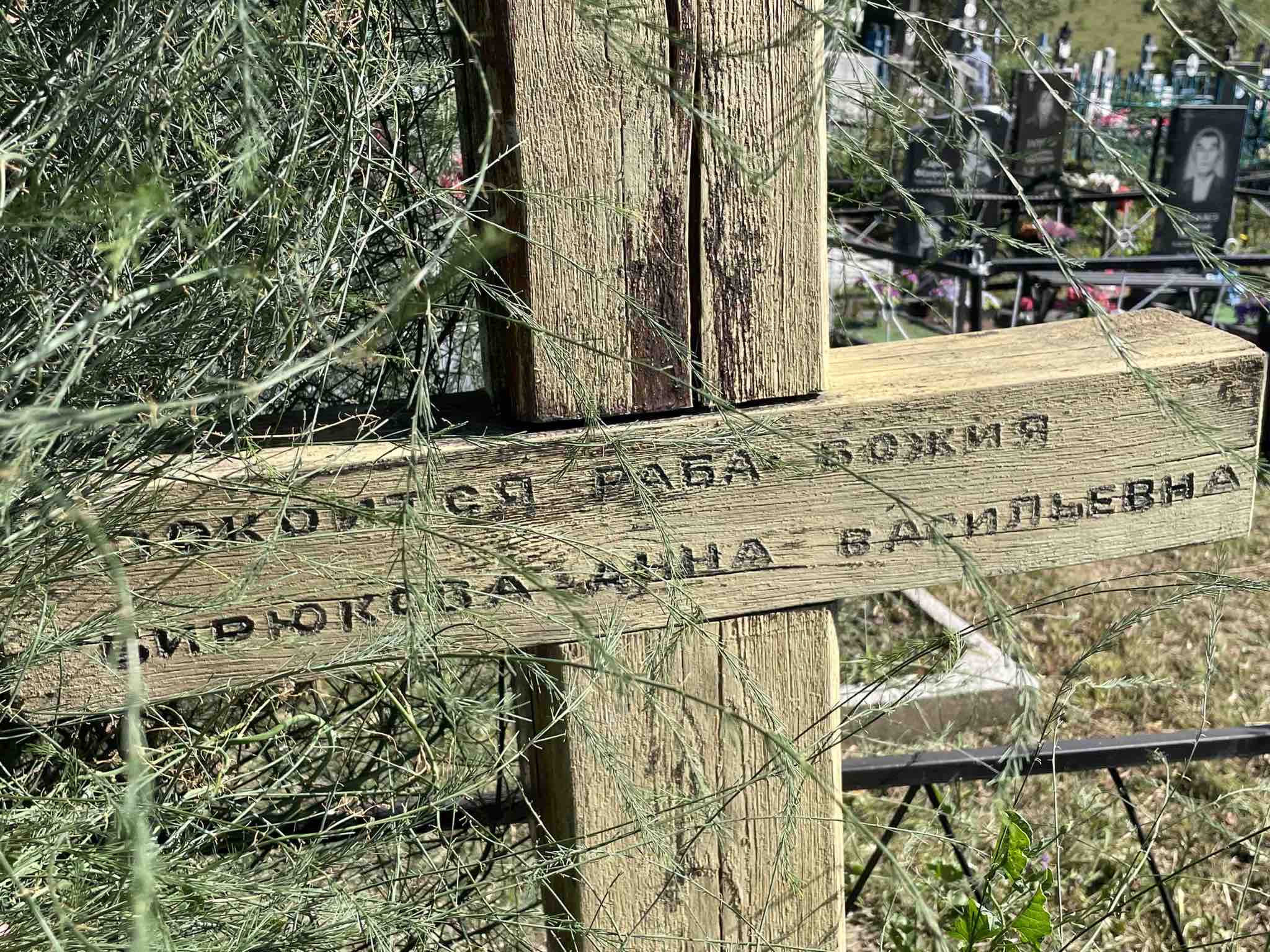 Бирюкова Анна Васильевна