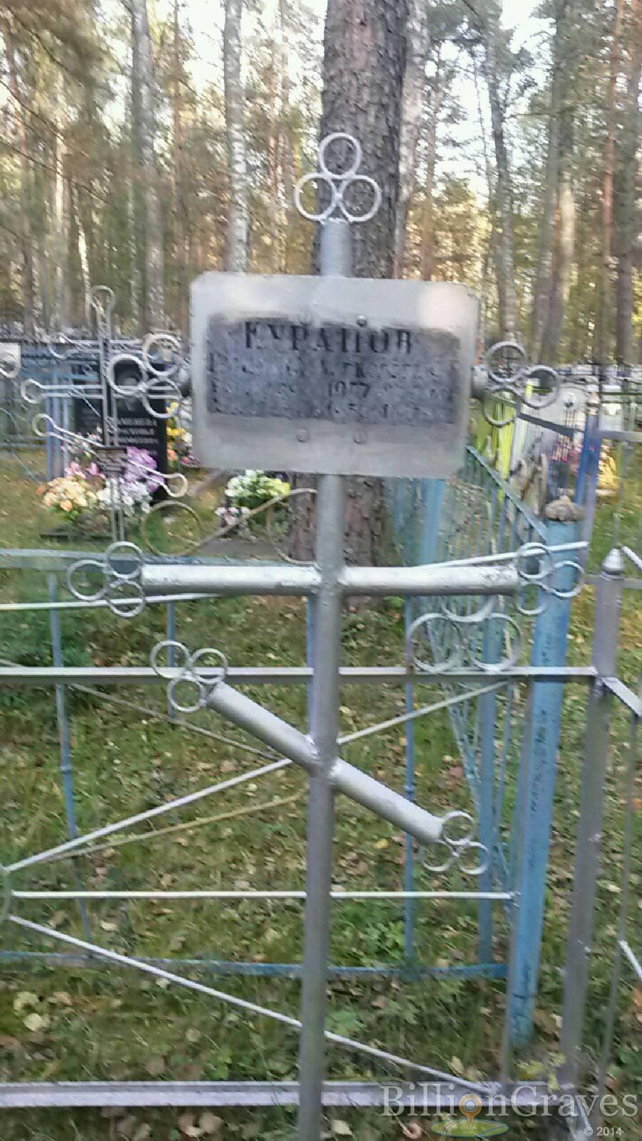 Курапов Николай Алексеевич