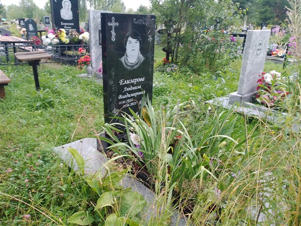 Елизарова Людмила Владимировна