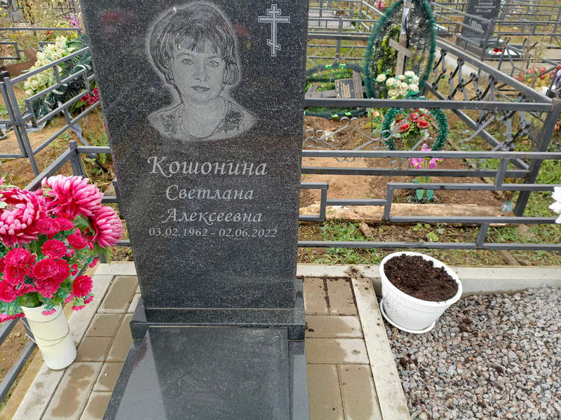 Кошонина