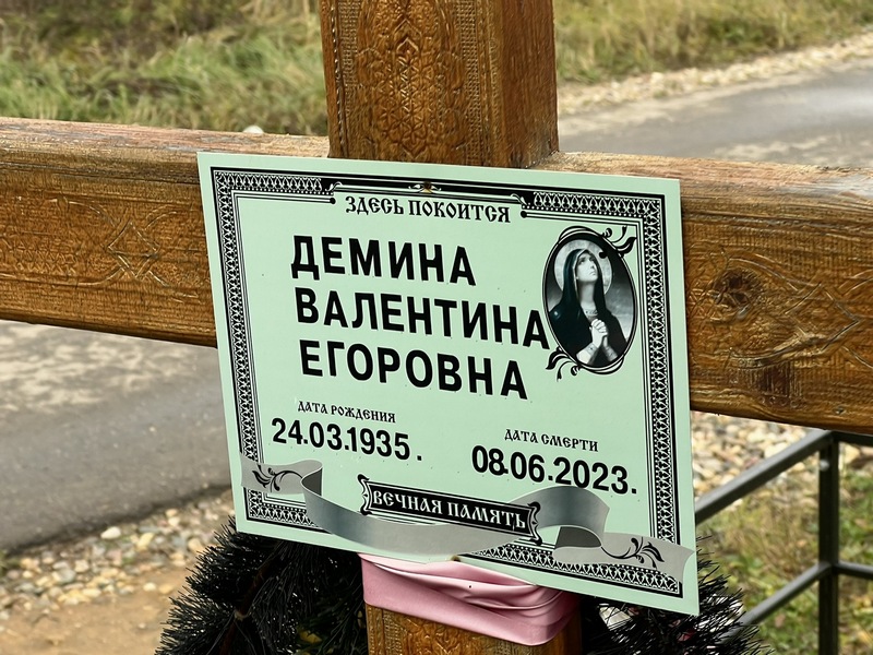 Демина