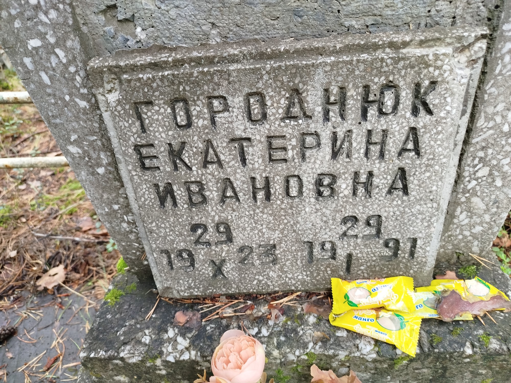 Городнюк Екатерина Ивановна